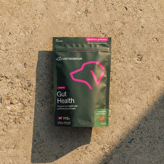 DailyGut Probiotic Chews for Dogs