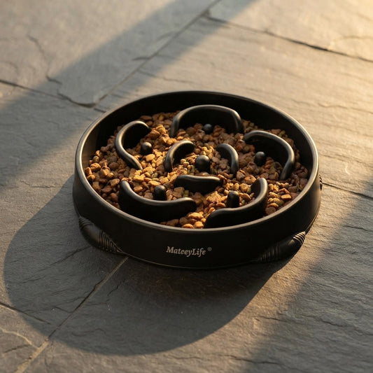 SlowMaze Anti-Bloat Slow Feeder Bowl