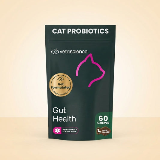 DailyGut Probiotic Chews for Cats