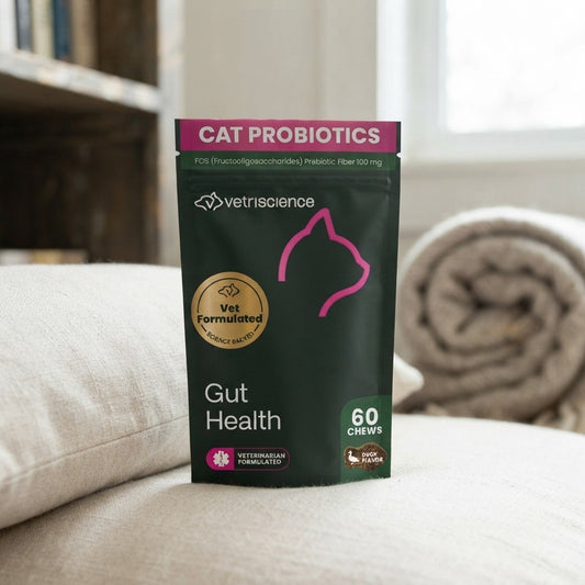 DailyGut Probiotic Chews for Cats